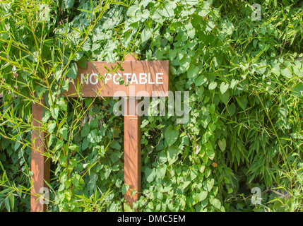 Wooden signposts indicating NO DRINKING WATER in Spanish Stock Photo