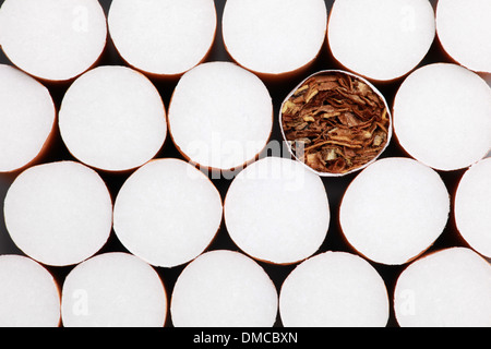 Collection of filter cigarettes forming a background Stock Photo