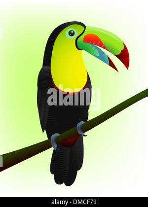 Toucan bird Stock Vector