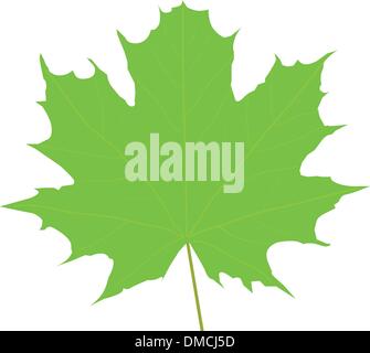 maple leaf Stock Vector