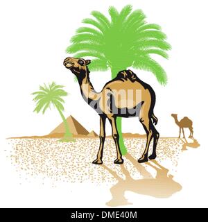 Camel in the desert Stock Vector