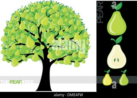 Isolated pear tree in cartoon style illustration Stock Vector Image ...