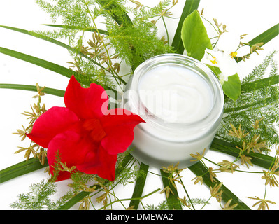 face cream with green leaves isolated on white background Stock Photo