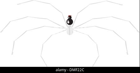 Vector illustration of a spider Stock Vector
