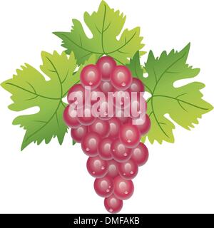 vector grape cluster and green leaves Stock Vector