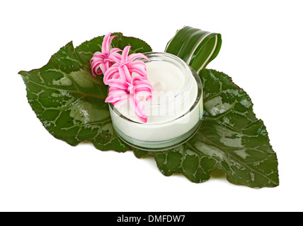 face cream with green leaves isolated on white background Stock Photo