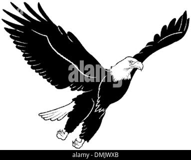 Flying Bald Eagle Stock Vector Image &amp; Art - Alamy