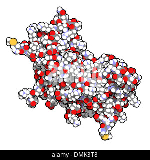 Interferon gamma (IFNg) cytokine molecule, chemical structure. Recombinant form used in treatment of osteopetrosis etc Stock Photo