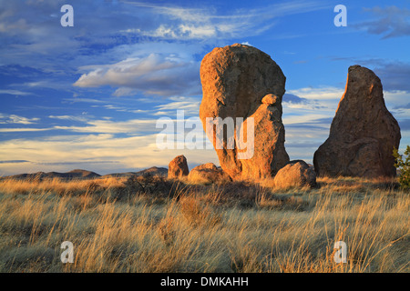 Silver City Rocks Standing rocks of hardened volcanic tuff and grasses, City of Rocks ...