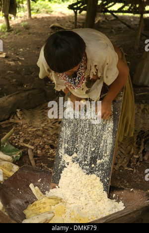 Hoti woman preparing a flour from sweet potatoes Stock Photo