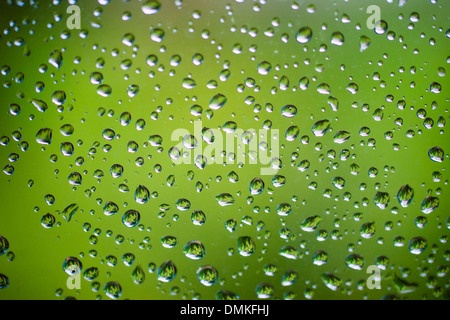 Drops of water on window after a spring shower on green foliage background. Stock Photo