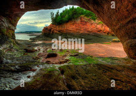 Fundy - Wallpapers - Wallpaper Cave