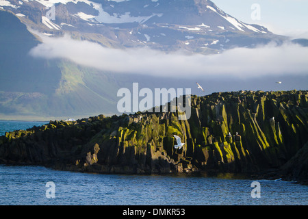 MELRAKKAEY ISLAND, PROTECTED SITE AT THE MOUTH OF THE GRUNDAFJORDUR BAY, A VERITABLE PARADISE FOR MARINE BIRDS, WITH MOUNT KIRKJUFELL IN THE BACKGROUND, GRUNDARFJORDUR, SNAEFELLSNES PENINSULA, WESTERN ICELAND, EUROPE Stock Photo