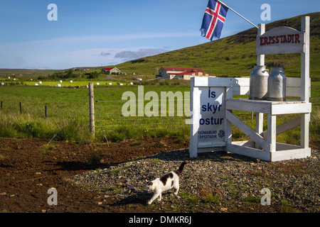 ENTRANCE TO THE ERPSSTADIR FARM WHERE THE ICELANDIC CHEESE SKYR IS MADE IN TRADITIONAL MANNER, SNAEFELLSNES PENINSULA, WESTERN ICELAND, EUROPE Stock Photo