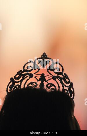 Magdeburg, Germany. 14th Dec, 2013. The crown of Miss Intercontinental 2013 pictured in Magdeburg, Germany, 14 December 2013. The 23-years-old woman won the competition against 58 participants. Photo: Jens Wolf/dpa/Alamy Live News Stock Photo