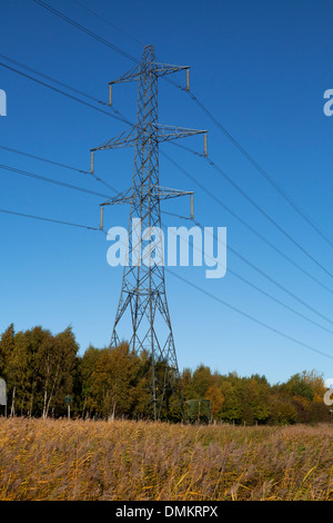 Electricity pylon against deep blue sky and autumn colours Stock Photo