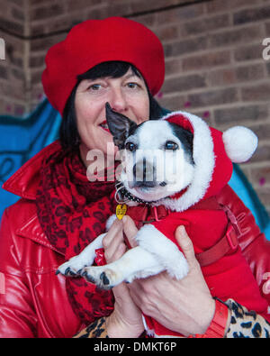 Shoreham, West Sussex, UK. 15th Dec 2013. Dressing up for Santa is all part of the fun as happy hounds get a Christmas treat with a visit to santa at Matt and Leon Henderson Rood's House of Hugo day care and therapy centre for dogs in Shoreham. Helping to raise money for Shoreham Dogs Trust, everyone got a goody bag to take home with them.  Credit:  Julia Claxton/Alamy Live News Stock Photo