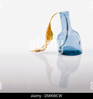 Decorative blue glass vase with dry leaf Stock Photo