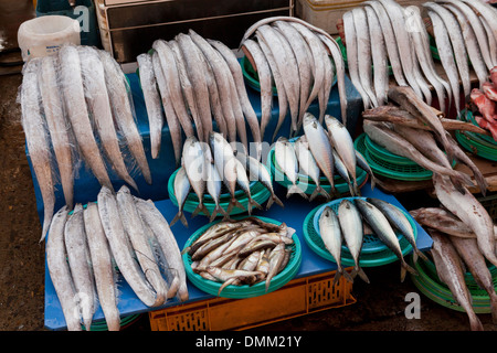 Various fresh fish stand at Jagalchi shijang (traditional outdoor market) - Busan, South Korea Stock Photo