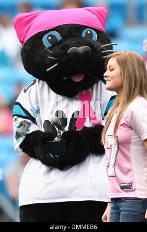 October 11, 2009: Carolina Panther mascot Sir Purr gives an award to Alicia  Puckett. The Carolina Panthers defeated the Washington Redskins 20-17 at  Bank of America Stadium in Charlotte, North Carolina. (Credit