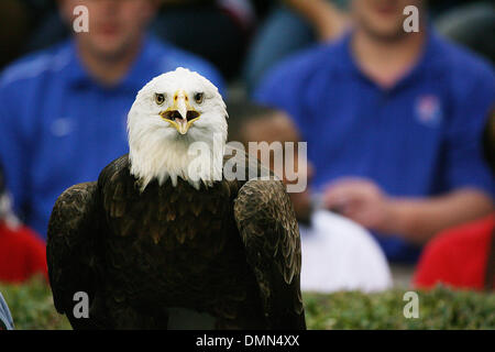 5 September 2009: The Auburn University WAr Eagle gets a close look in front of the oposing team fan section during the first half of the the matchup between Louisiana Tech University and Auburn University at Jordan-Hare Stadium in Auburn, AL  (Credit Image: © Southcreek Global/ZUMApress.com) Stock Photo