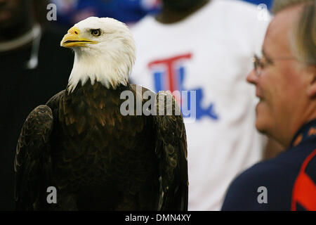 5 September 2009: The Auburn University WAr Eagle gets a close look in front of the oposing team fan section during the first half of the the matchup between Louisiana Tech University and Auburn University at Jordan-Hare Stadium in Auburn, AL  (Credit Image: © Southcreek Global/ZUMApress.com) Stock Photo