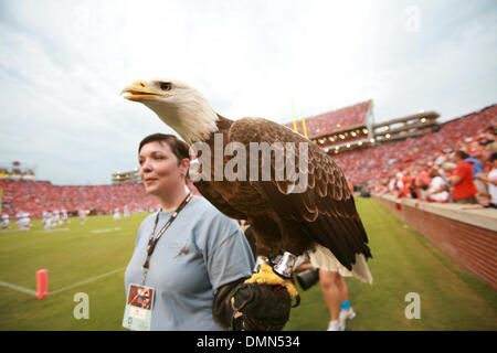 5 September 2009: The Auburn University WAr Eagle gets put on display for the fans during the first half of the the matchup between Louisiana Tech University and Auburn University at Jordan-Hare Stadium in Auburn, AL  (Credit Image: © Southcreek Global/ZUMApress.com) Stock Photo