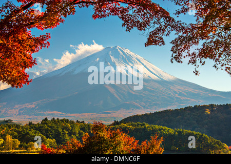 Mt. Fuji with fall Foliage in Japan. Stock Photo