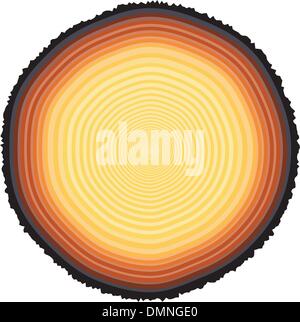 Tree rings Stock Vector