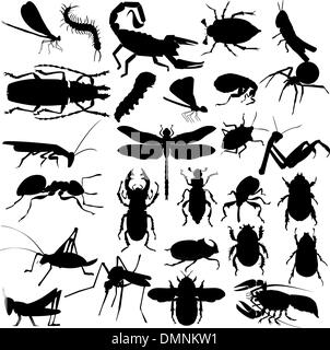 Silhouettes of insects Stock Vector