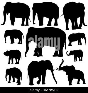 Elephant silhouettes on white background Stock Vector