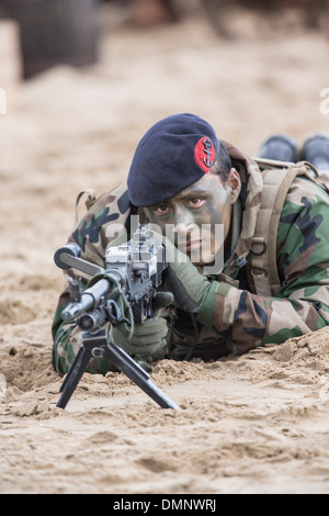 Netherlands, Scheveningen, The Kingdom of the Netherlands is 200 years old. Naval pageant and amphibious landing on the beach Stock Photo