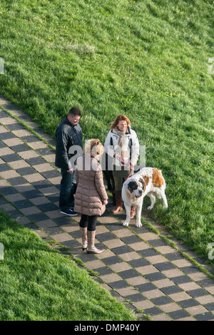Netherlands, Vlissingen, People chat while standing with their dog Stock Photo