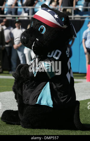 Carolina Panthers Sir Purr  Only a few more shows left for Sir Purr and  the Carolina Panthers in Southwest Asia! Find out when you can see your  favorite Panther along with