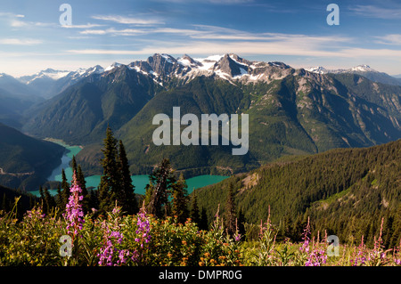 WASHINGTON - Fireweed blooming along the Sourdough Mountain Trail with view of Diablo Lake and Colonial Peak in North Cascades. Stock Photo