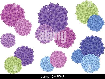 colorful hydrangea flowers, vector set Stock Vector