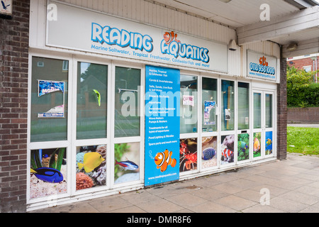 Storefront of closed down aquarium pet fish shop. Reading, Berkshire, England, GB, UK. Stock Photo