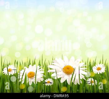 Nature background with green grass and blue sky vector Stock Vector ...