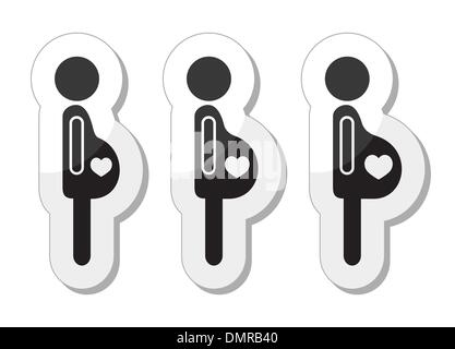 Pregnant woman - stages of bump icons set Stock Vector