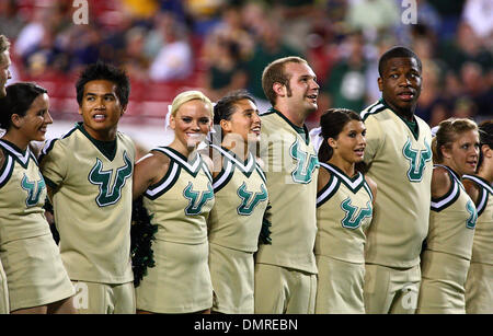 South Florida cheerleaders during the first half of the South Florida versus West Virginia college football game held at Raymond James Stadium in Tampa, FL. (Credit Image: © Chris Grosser/Southcreek Global/ZUMApress.com) Stock Photo