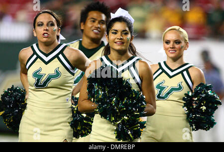 South Florida cheerleaders during the first half of the South Florida versus West Virginia college football game held at Raymond James Stadium in Tampa, FL. (Credit Image: © Chris Grosser/Southcreek Global/ZUMApress.com) Stock Photo