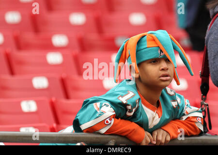 Miami dolphins fans hi-res stock photography and images - Alamy