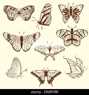 Set of differnet sketch butterfly Stock Vector