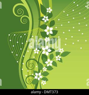 White Jasmine flowers on green swirls background Stock Vector