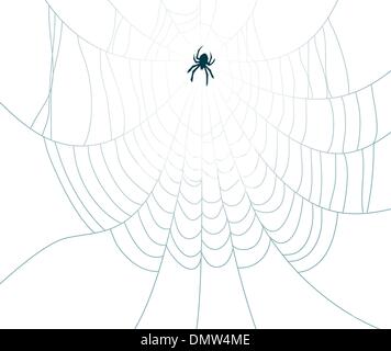 vector spider and web Stock Vector