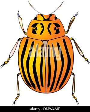 Colorado potato beetle Stock Vector