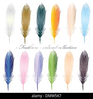 feathers colored collection on white Stock Vector