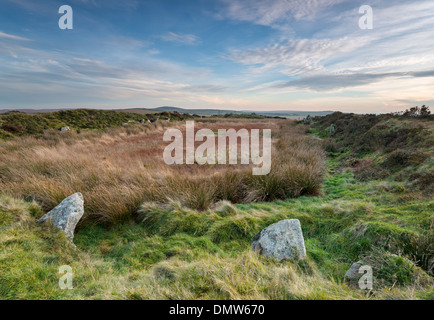 King Arthur's Hall a mysterious megalithic monument on Bodmin Moor in Cornwall thought to date from the Neolithic. Stock Photo