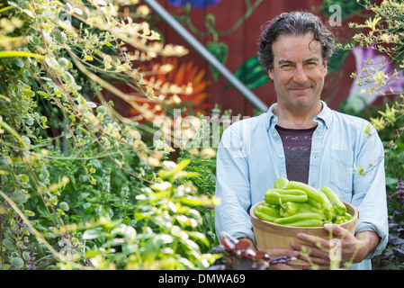 Summer on an organic farm. A  man holding a basket of fresh picked vegetables. Stock Photo