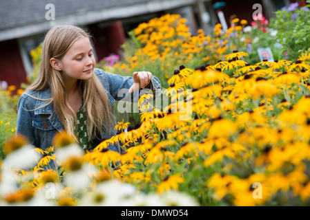 An organic flower plant nursery. A young girl looking at  flowers. Stock Photo